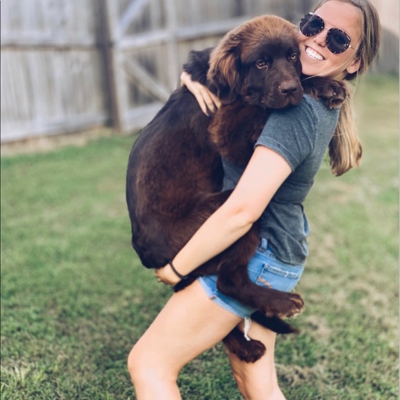 Meet your Posher, Abbey - Picture 3 of 4